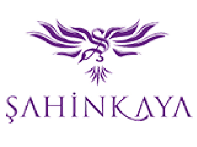 Ankara Generator reference 22