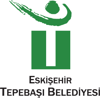 Ankara Generator reference 8